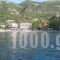 Paradise Studios_lowest prices_in_Hotel_Ionian Islands_Corfu_Corfu Rest Areas