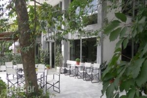 Rex Chasioti_holidays_in_Hotel_Central Greece_Fthiotida_Ypati