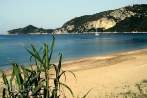 Agrilia Studios_holidays_in_Hotel_Ionian Islands_Corfu_Afionas