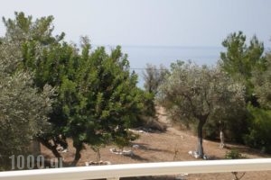 Jimmy Anna Apartments_best prices_in_Apartment_Aegean Islands_Samos_Samosst Areas