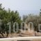 Jimmy Anna Apartments_best prices_in_Apartment_Aegean Islands_Samos_Samosst Areas