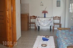 Jimmy Anna Apartments_best deals_Apartment_Aegean Islands_Samos_Samosst Areas