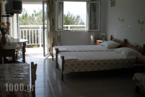 Jimmy Anna Apartments_travel_packages_in_Aegean Islands_Samos_Samosst Areas