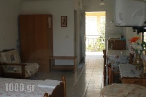 Jimmy Anna Apartments_holidays_in_Apartment_Aegean Islands_Samos_Samosst Areas