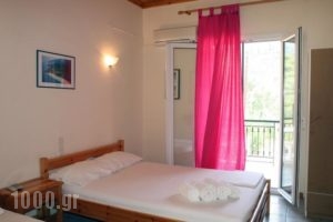 Marathes Studios_best prices_in_Hotel_Ionian Islands_Lefkada_Lefkada Chora