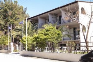 Vlachogiannis Hotel_travel_packages_in_Aegean Islands_Thasos_Prinos