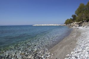 Apollon Apartments_best deals_Apartment_Thessaly_Magnesia_Pilio Area