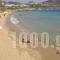 Studios Antiparos Beach_best deals_Hotel_Cyclades Islands_Antiparos_Antiparos Rest Areas