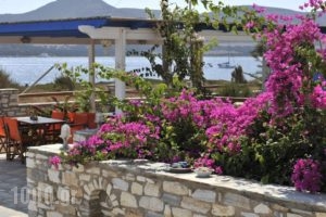 Studios Antiparos Beach_travel_packages_in_Cyclades Islands_Antiparos_Antiparos Rest Areas