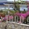 Studios Antiparos Beach_travel_packages_in_Cyclades Islands_Antiparos_Antiparos Rest Areas