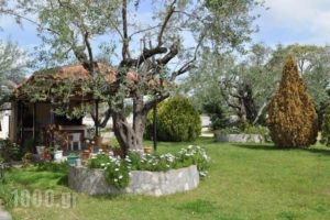 Villa Yioula_lowest prices_in_Villa_Ionian Islands_Zakinthos_Zakinthos Rest Areas