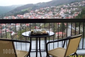 Valia Calda Hotel_accommodation_in_Hotel_Macedonia_Grevena_Perivoli