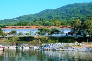 Hotel Vlassis_travel_packages_in_Thessaly_Larisa_Agia