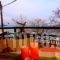 Marianni Rooms_best deals_Room_Macedonia_Halkidiki_Arnea