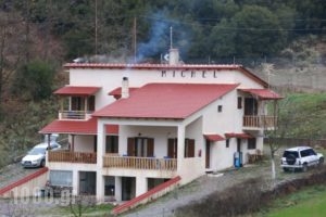 Michel Studios_accommodation_in_Hotel_Peloponesse_Achaia_Kalavryta