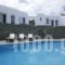 Provalma Studios_holidays_in_Hotel_Cyclades Islands_Folegandros_Folegandros Chora