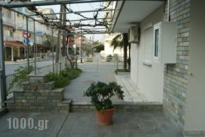 Villa Sokratis_best prices_in_Villa_Macedonia_Pieria_Olympiaki Akti