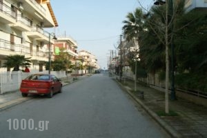 Villa Sokratis_lowest prices_in_Villa_Macedonia_Pieria_Olympiaki Akti