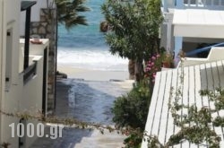 Theofanis Studios in Agia Anna, Naxos, Cyclades Islands