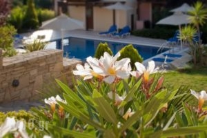 Eligia Villas_accommodation_in_Villa_Crete_Rethymnon_Plakias