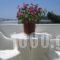 Popis Apartments_travel_packages_in_Cyclades Islands_Paros_Paros Chora