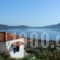 Mourtero House_accommodation_in_Hotel_Sporades Islands_Skopelos_Stafylos