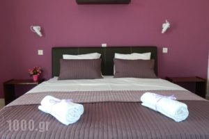 Roseberry Studios_accommodation_in_Hotel_Dodekanessos Islands_Rhodes_Faliraki