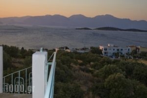 Creta Star_holidays_in_Hotel_Crete_Lasithi_Aghios Nikolaos