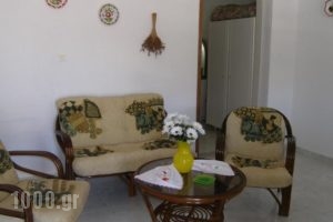 Panorama Apartments_holidays_in_Apartment_Dodekanessos Islands_Tilos_Tilos Chora