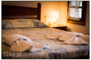 Jhonathan_best prices_in_Hotel_Dodekanessos Islands_Karpathos_Karpathos Chora