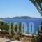 Vista Loca_best deals_Hotel_Cyclades Islands_Mykonos_Mykonos ora