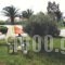 Apolonio_best deals_Hotel_Central Greece_Evia_Limni