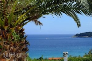 Kinira Beach Hotel_holidays_in_Hotel_Aegean Islands_Thasos_Kinyra
