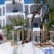 Christine Studios_holidays_in_Hotel_Piraeus Islands - Trizonia_Poros_Poros Chora