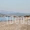 Thalatta Seaside Hotel_best deals_Hotel_Central Greece_Evia_Limni