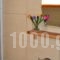 Irini Apartments_lowest prices_in_Apartment_Crete_Heraklion_Ammoudara