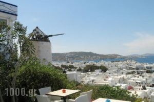 Portobello Boutique Hotel_holidays_in_Hotel_Cyclades Islands_Mykonos_Mykonos ora
