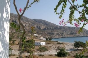 Lefkosia Studios_accommodation_in_Hotel_Dodekanessos Islands_Karpathos_Karpathosora