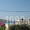 Lefkosia Studios_best prices_in_Hotel_Dodekanessos Islands_Karpathos_Karpathosora