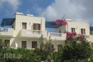 Lefkosia Studios_lowest prices_in_Hotel_Dodekanessos Islands_Karpathos_Karpathosora