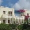 Lefkosia Studios_lowest prices_in_Hotel_Dodekanessos Islands_Karpathos_Karpathosora