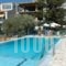 Nontas Apartments_travel_packages_in_Crete_Heraklion_Gouves