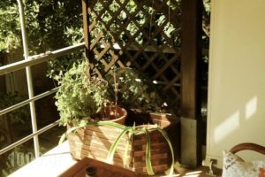 The Garden House_best deals_Hotel_Thessaly_Magnesia_Almiros