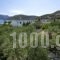 Harry'S Paradise_best deals_Hotel_Dodekanessos Islands_Kalimnos_Kalimnos Chora