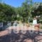 Harry'S Paradise_lowest prices_in_Hotel_Dodekanessos Islands_Kalimnos_Kalimnos Chora