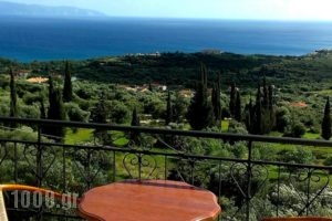 Aristea Studios_best deals_Hotel_Ionian Islands_Kefalonia_Kefalonia'st Areas