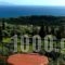 Aristea Studios_best deals_Hotel_Ionian Islands_Kefalonia_Kefalonia'st Areas