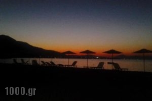 Stavento_best prices_in_Hotel_Peloponesse_Achaia_Trapeza