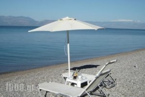 Stavento_travel_packages_in_Peloponesse_Achaia_Trapeza