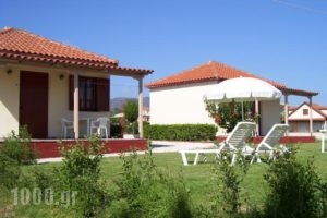 Beach Bungalows_accommodation_in_Hotel_Ionian Islands_Zakinthos_Alykes